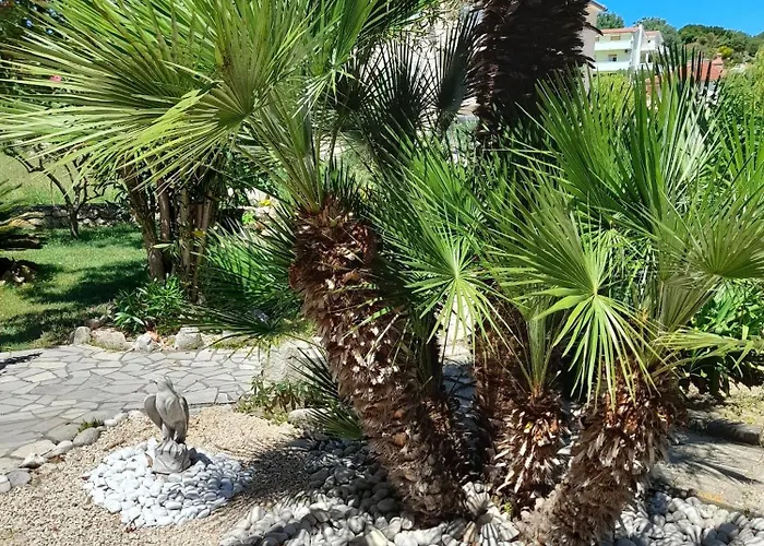 Affittacamere And With Parking Space Palit, Rab - 22221 Rab Town